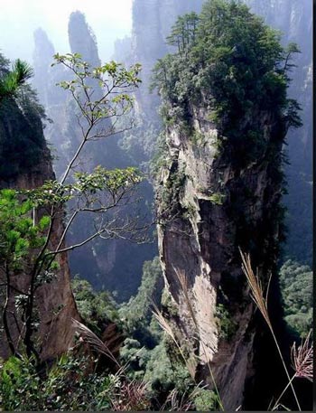 長(zhǎng)沙出發(fā)到張家界溶洞奇觀黃龍洞、國(guó)家森林公園、袁家界、峰林之王天子山三日游（早班）