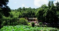長(zhǎng)沙出發(fā)到花明樓、韶山、張家界國(guó)家森林公園、天門(mén)仙山國(guó)家森林公園四日游